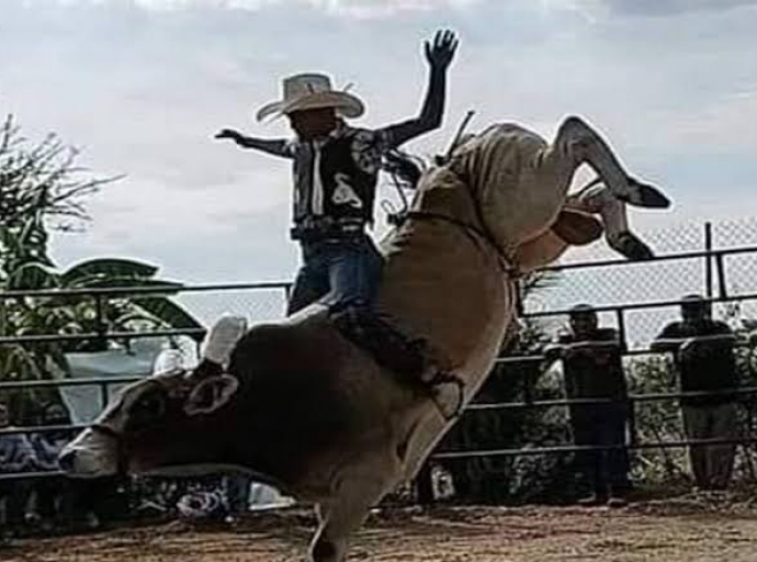 Niños jinetes insisten presentarse en jaripeos 